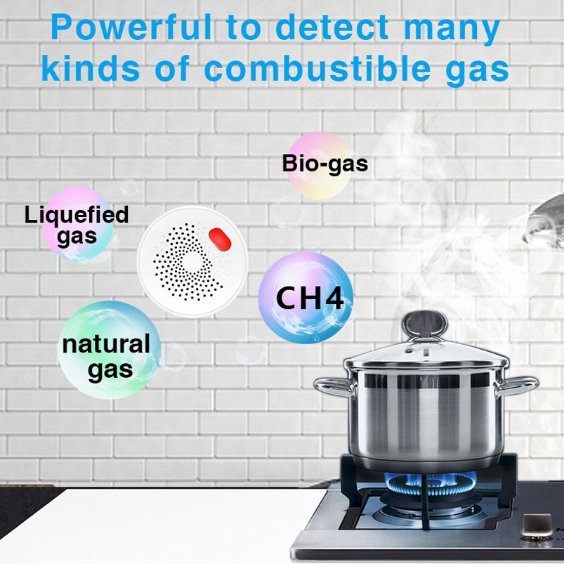 Датчик утечки газа Tuya Smart  – обзор и цена Smart Gas Leak Detector Lpg
