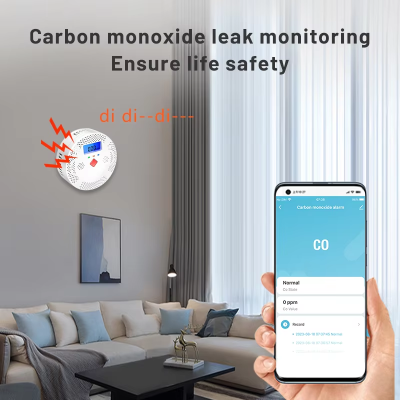 Умный WiFi-детектор угарного г – обзор и цена Carbon Monoxide Detector Combo