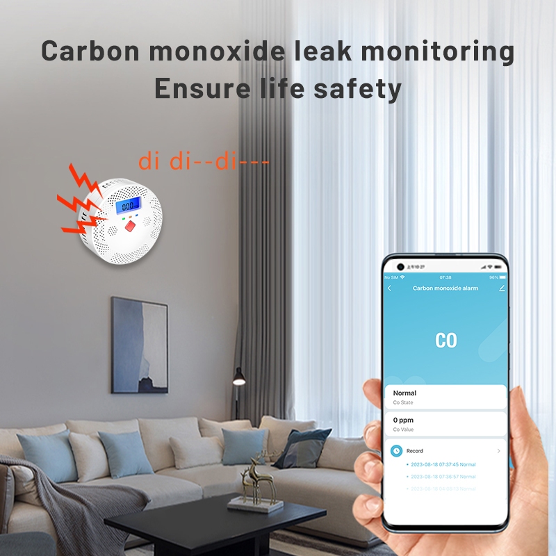 Умный WiFi-детектор угарного г – обзор и цена Carbon Monoxide Detector Combo
